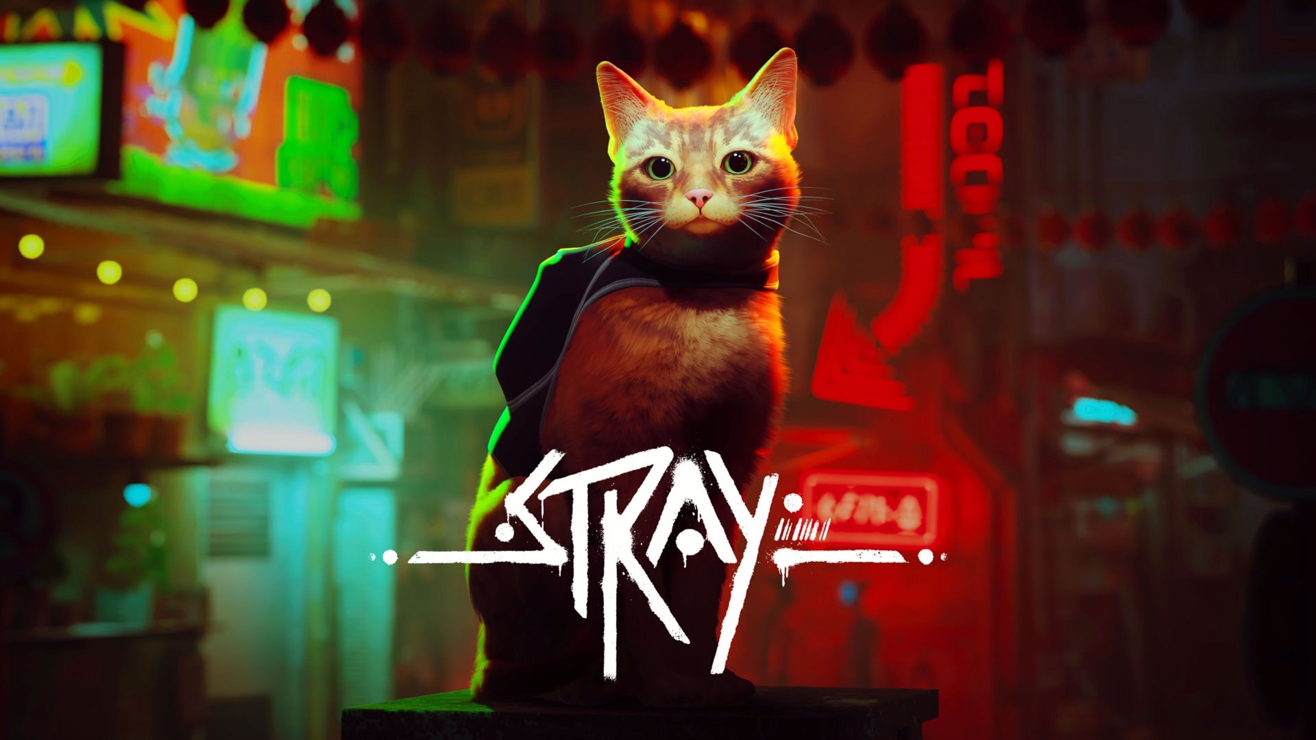 Game 3: Stray